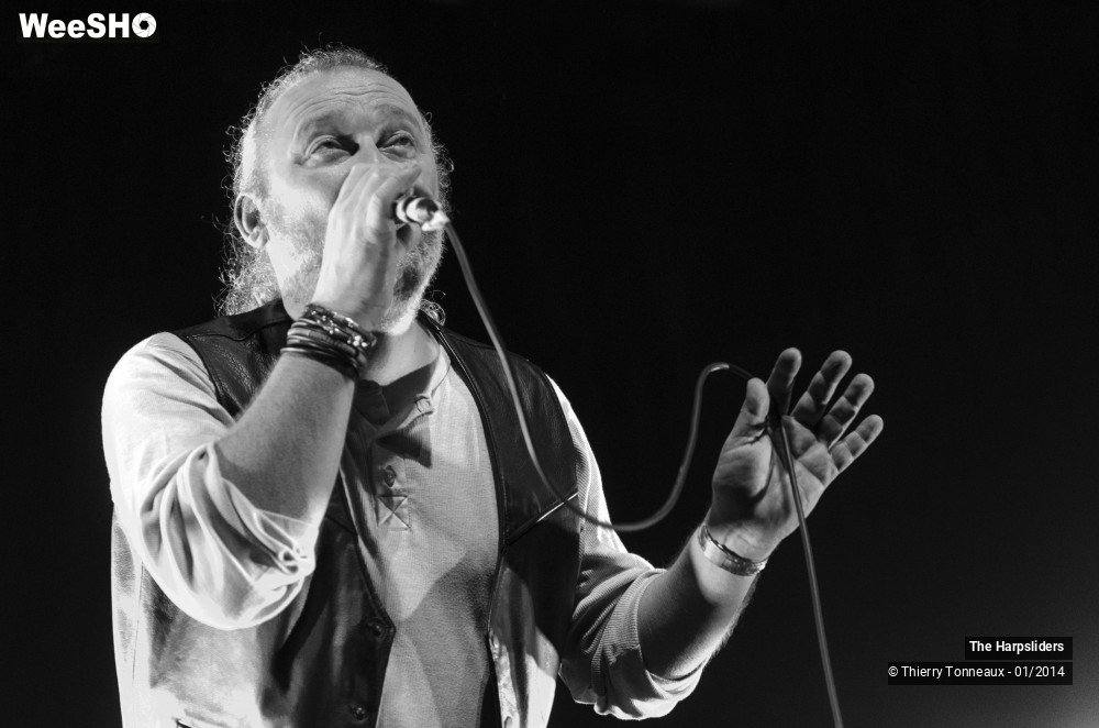 34/50 photos du spectacle The Harpsliders