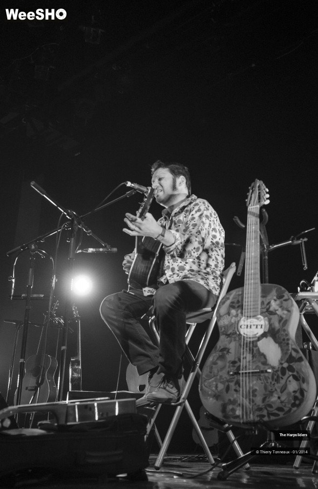 40/50 photos du spectacle The Harpsliders