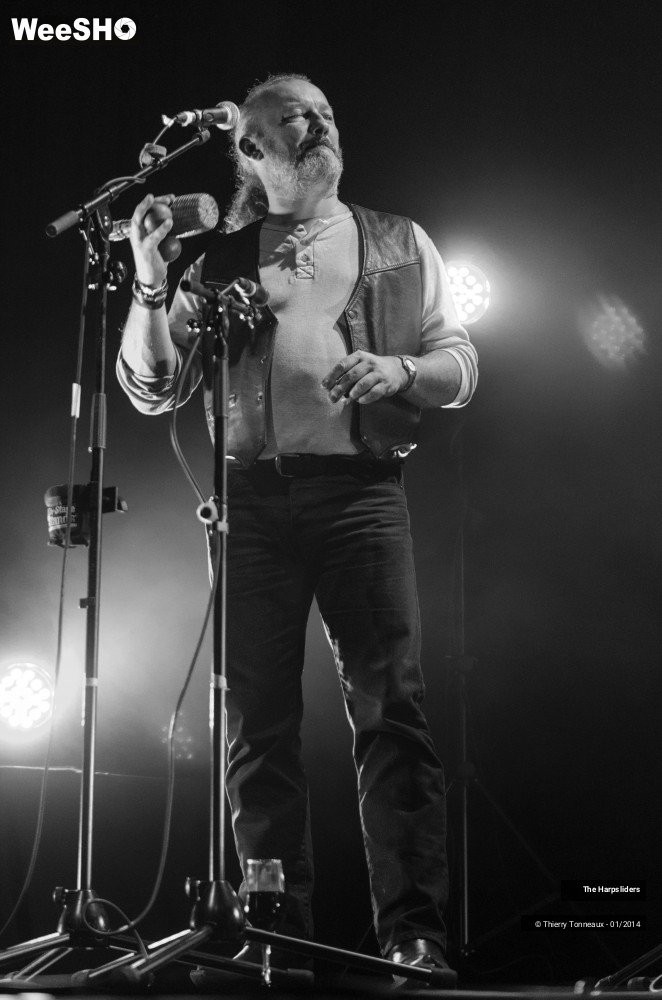 43/50 photos du spectacle The Harpsliders