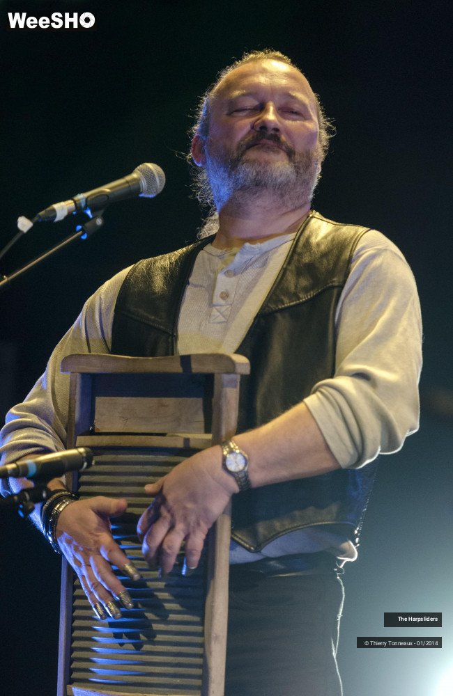 45/50 photos du spectacle The Harpsliders