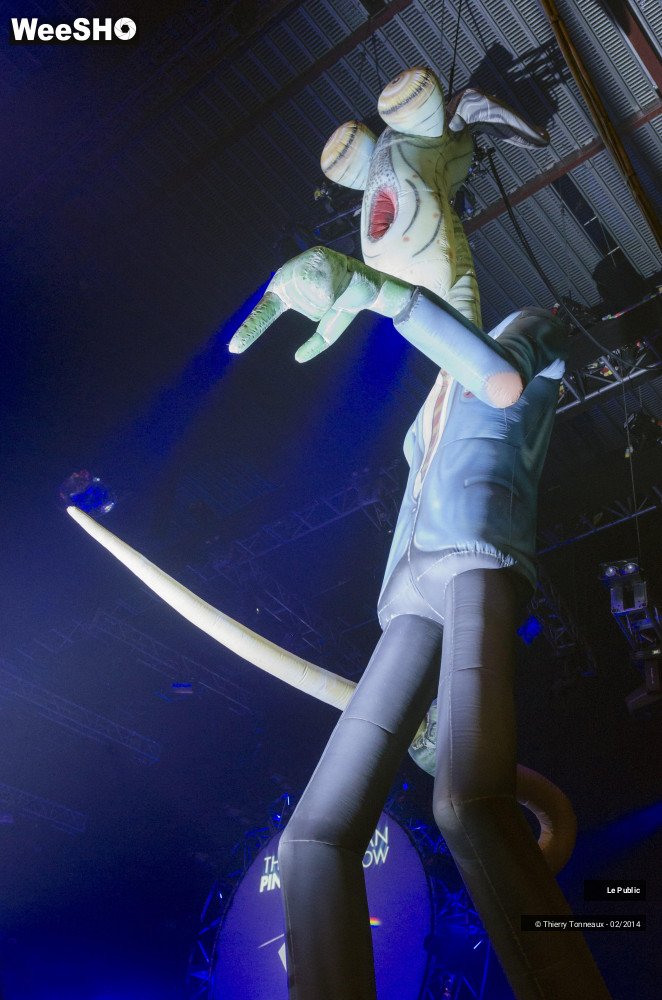26/31 photos du spectacle The Australian Pink Floyd Show Ambiance