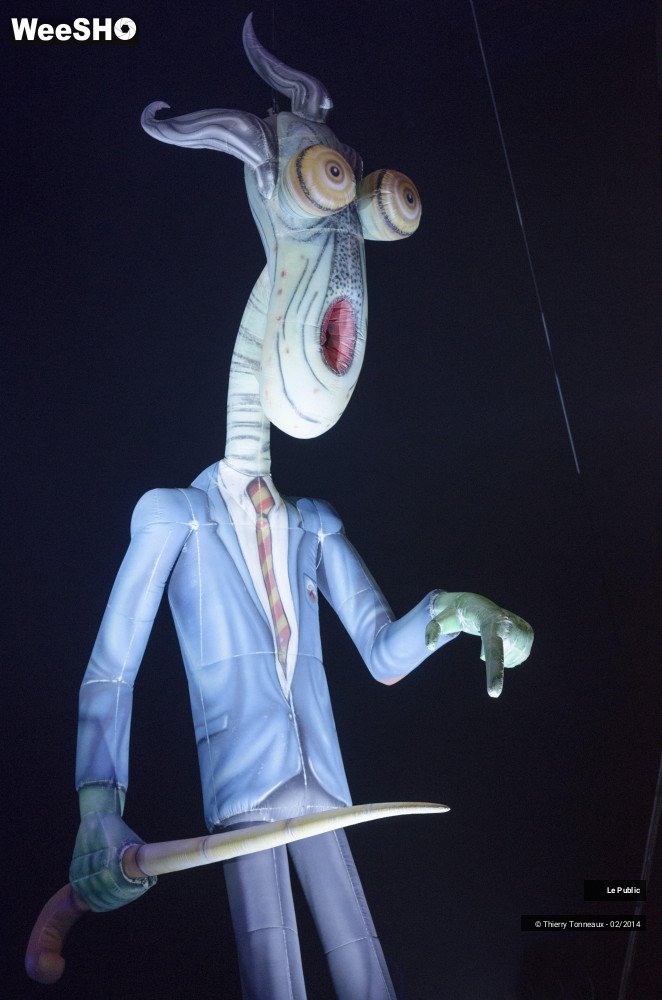 27/31 photos du spectacle The Australian Pink Floyd Show Ambiance