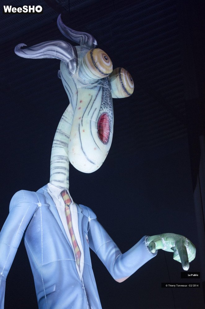 30/31 photos du spectacle The Australian Pink Floyd Show Ambiance