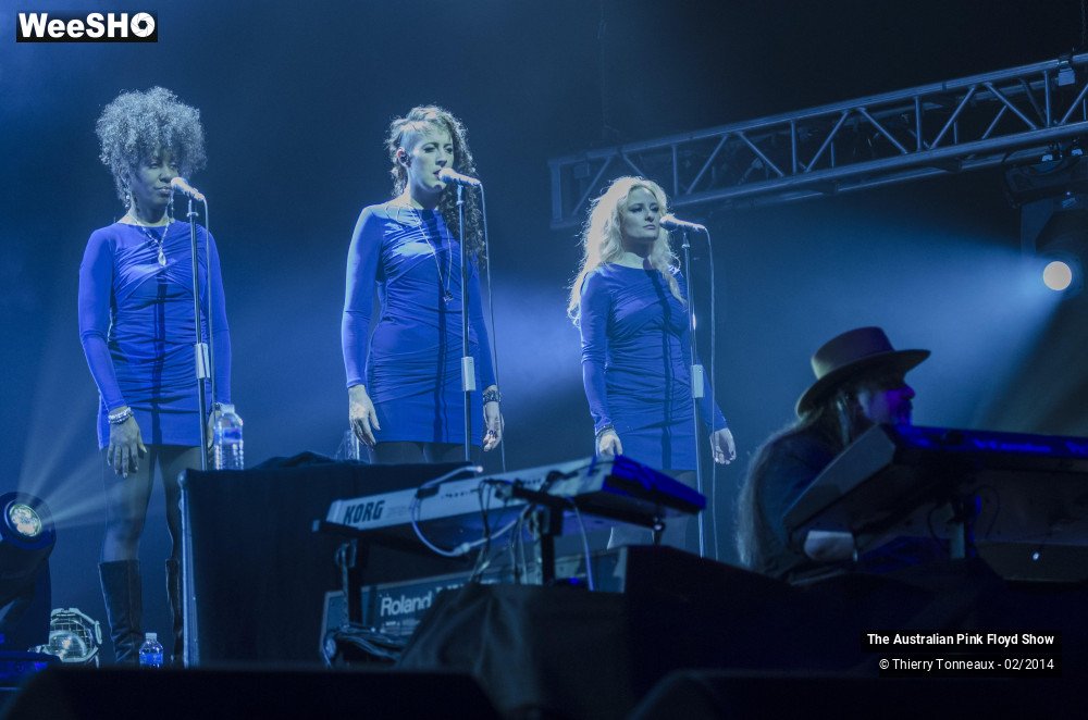 6/38 photos du spectacle The Australian Pink Floyd Show