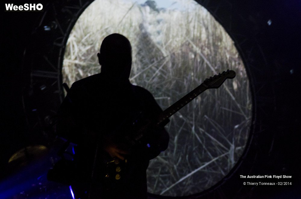 11/38 photos du spectacle The Australian Pink Floyd Show