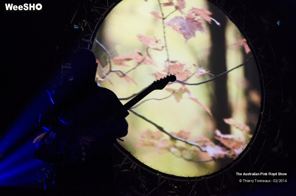19/38 photos du spectacle The Australian Pink Floyd Show