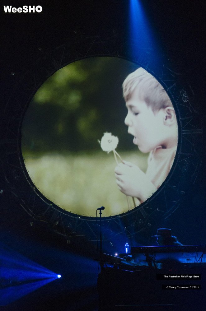 29/38 photos du spectacle The Australian Pink Floyd Show