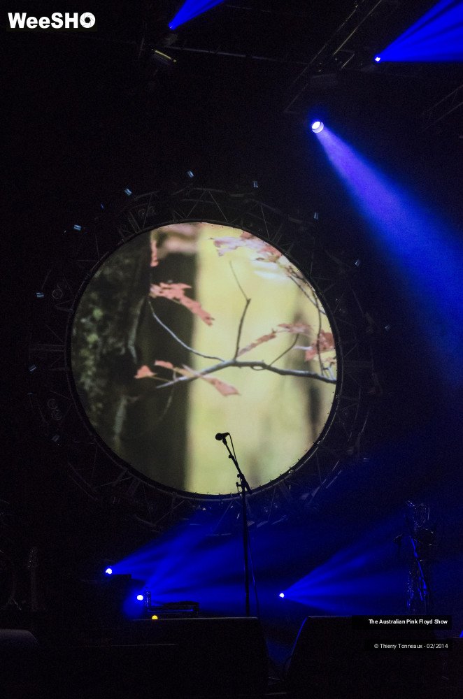 36/38 photos du spectacle The Australian Pink Floyd Show