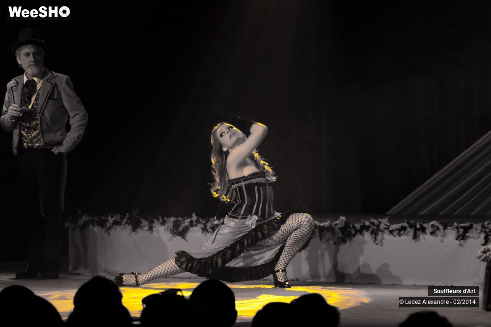 1/30 photos du spectacle Le Moulin Rouge