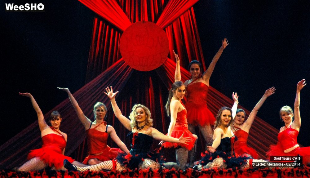 13/30 photos du spectacle Le Moulin Rouge