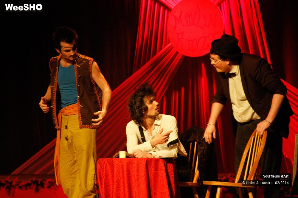 14/30 photos du spectacle Le Moulin Rouge