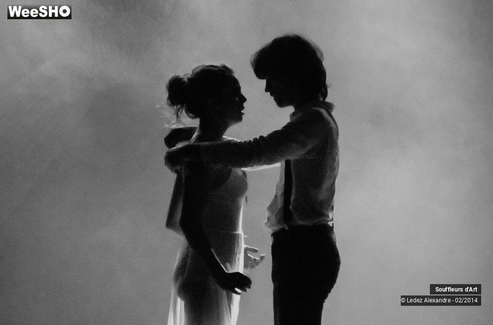 21/30 photos du spectacle Le Moulin Rouge
