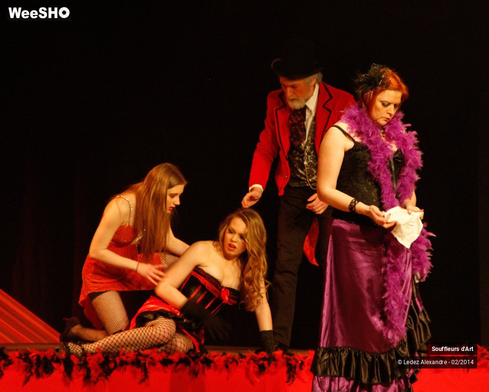22/30 photos du spectacle Le Moulin Rouge