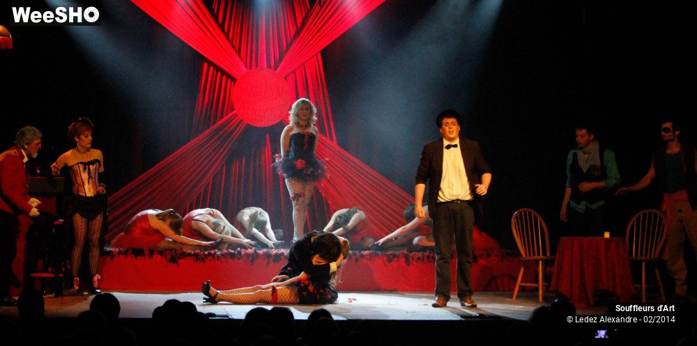 23/30 photos du spectacle Le Moulin Rouge