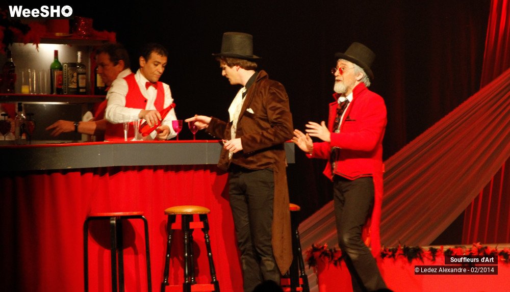 24/30 photos du spectacle Le Moulin Rouge