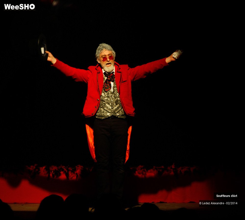 25/30 photos du spectacle Le Moulin Rouge