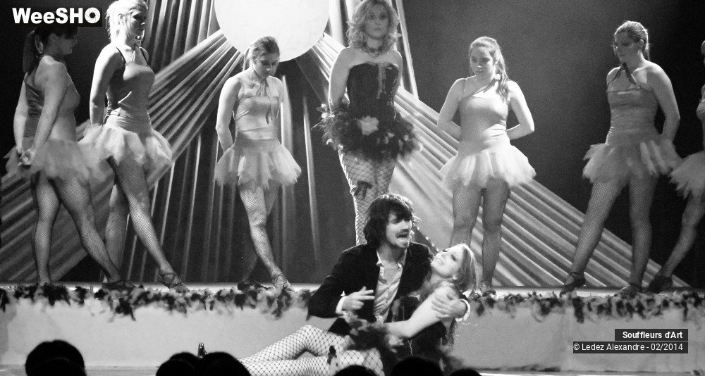 27/30 photos du spectacle Le Moulin Rouge