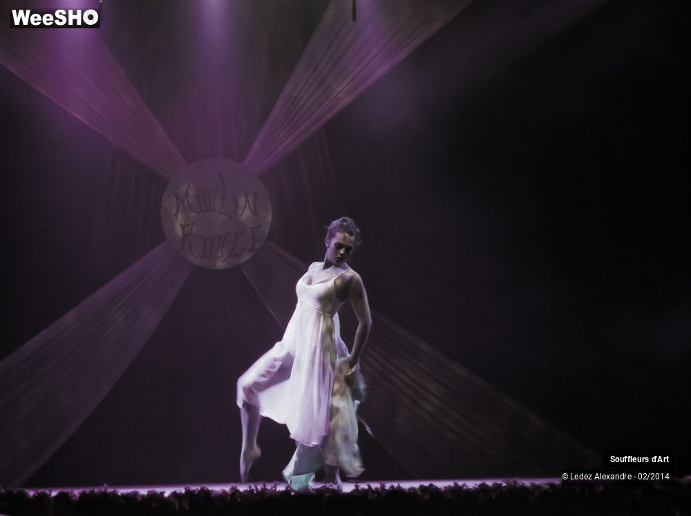 29/30 photos du spectacle Le Moulin Rouge