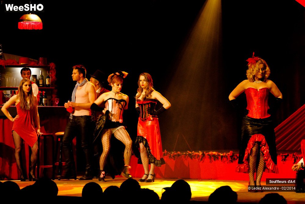 30/30 photos du spectacle Le Moulin Rouge