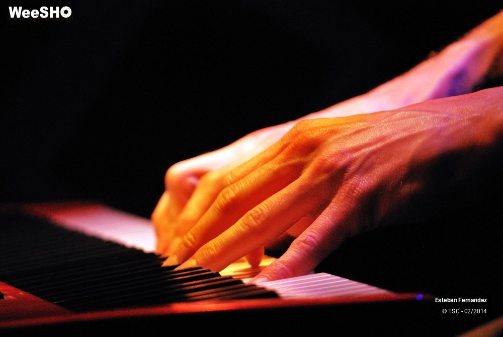 2/33 photos du spectacle Esteban Fernandez