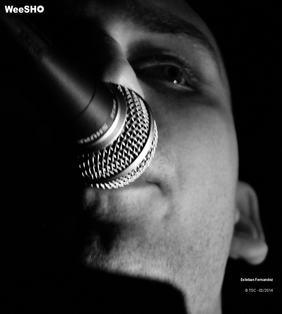 8/33 photos du spectacle Esteban Fernandez