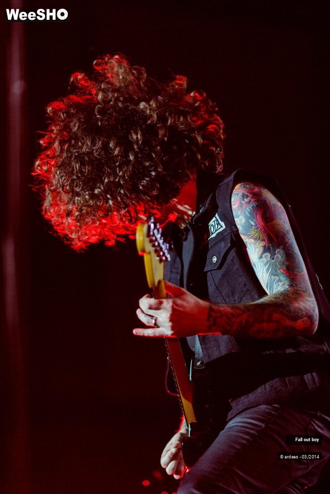 13/41 photos du spectacle Fall out boy
