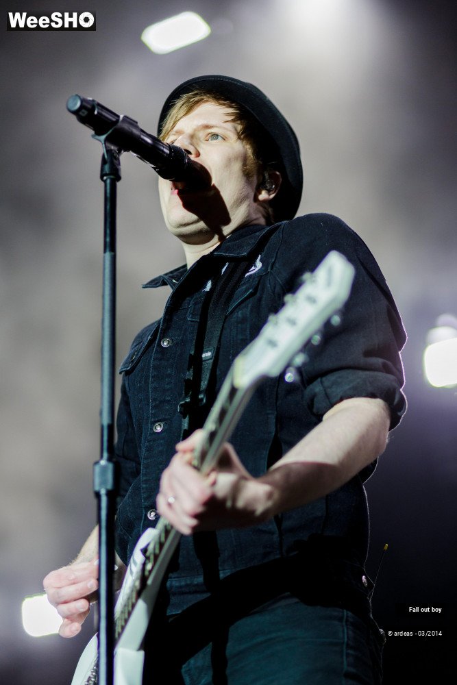 14/41 photos du spectacle Fall out boy