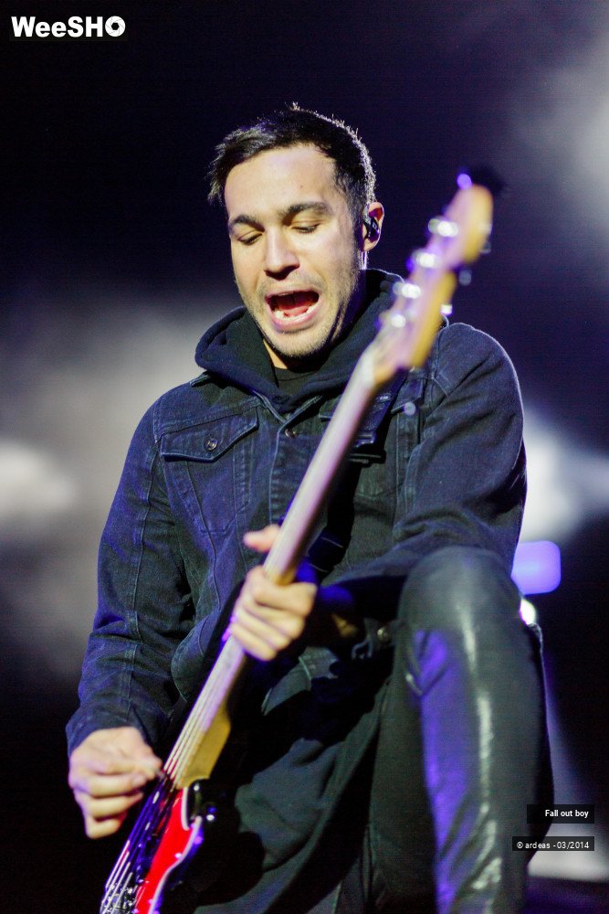 16/41 photos du spectacle Fall out boy
