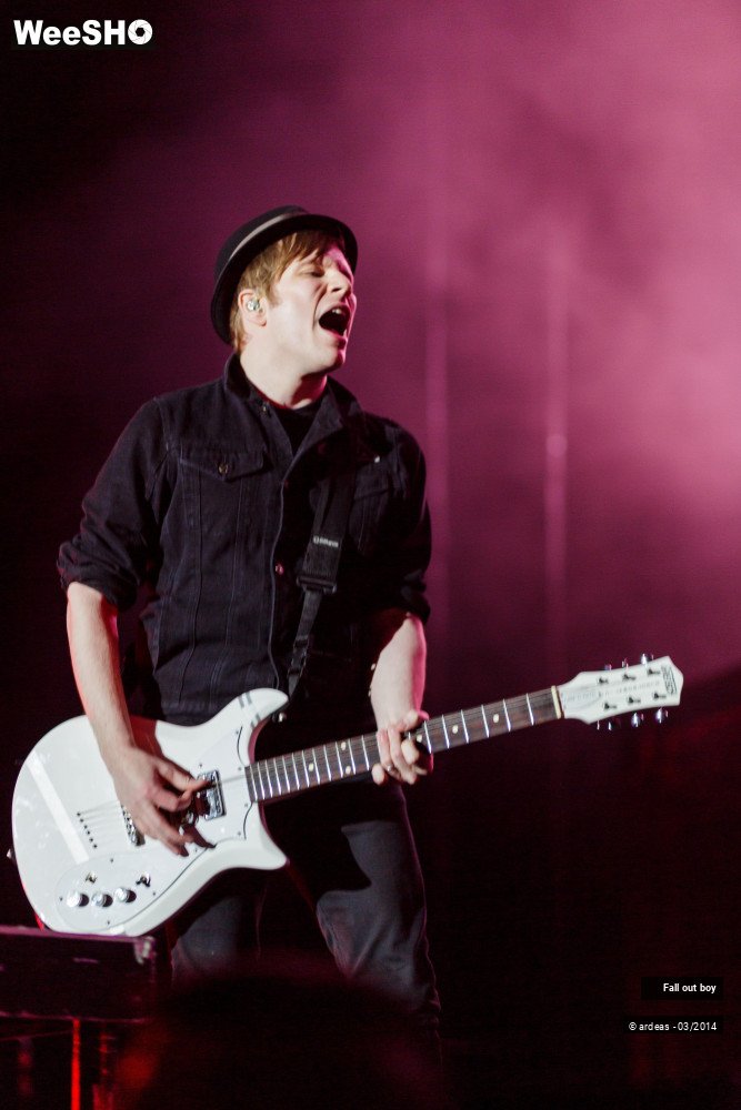 17/41 photos du spectacle Fall out boy