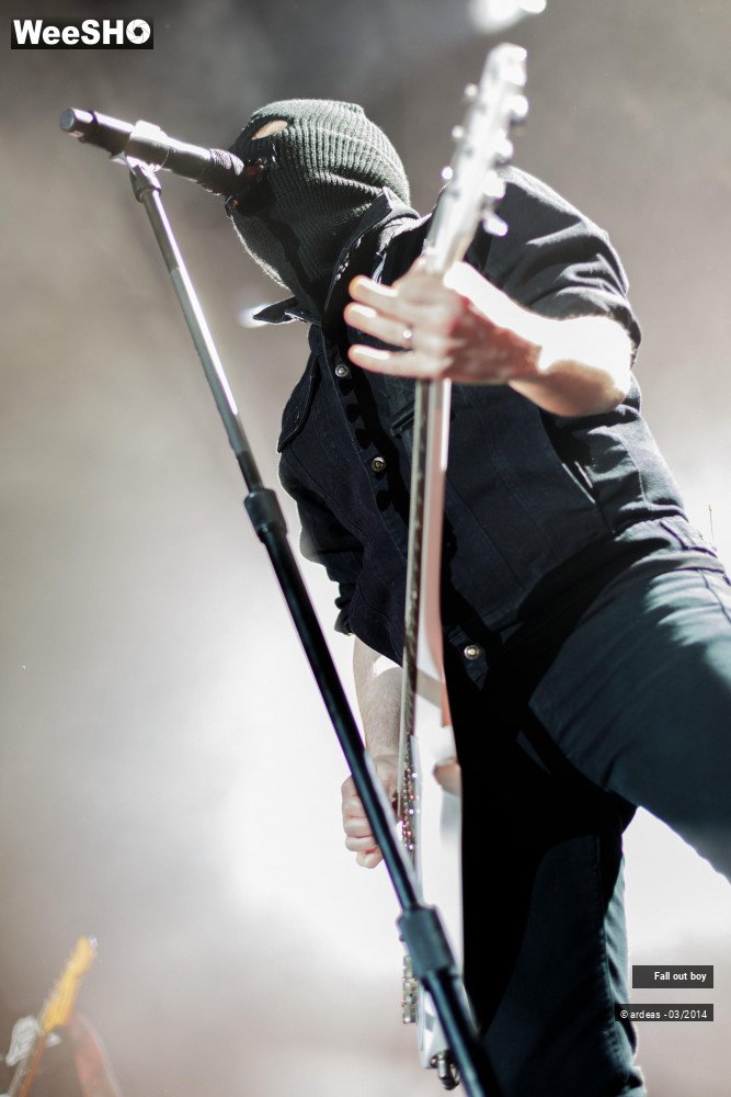 20/41 photos du spectacle Fall out boy