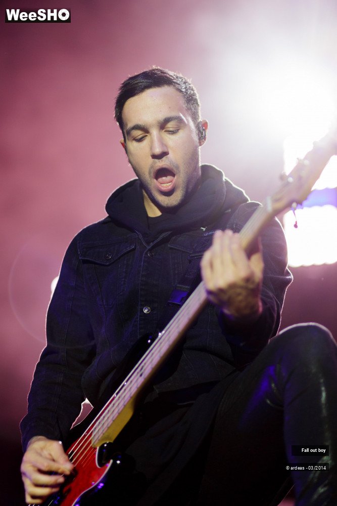 25/41 photos du spectacle Fall out boy