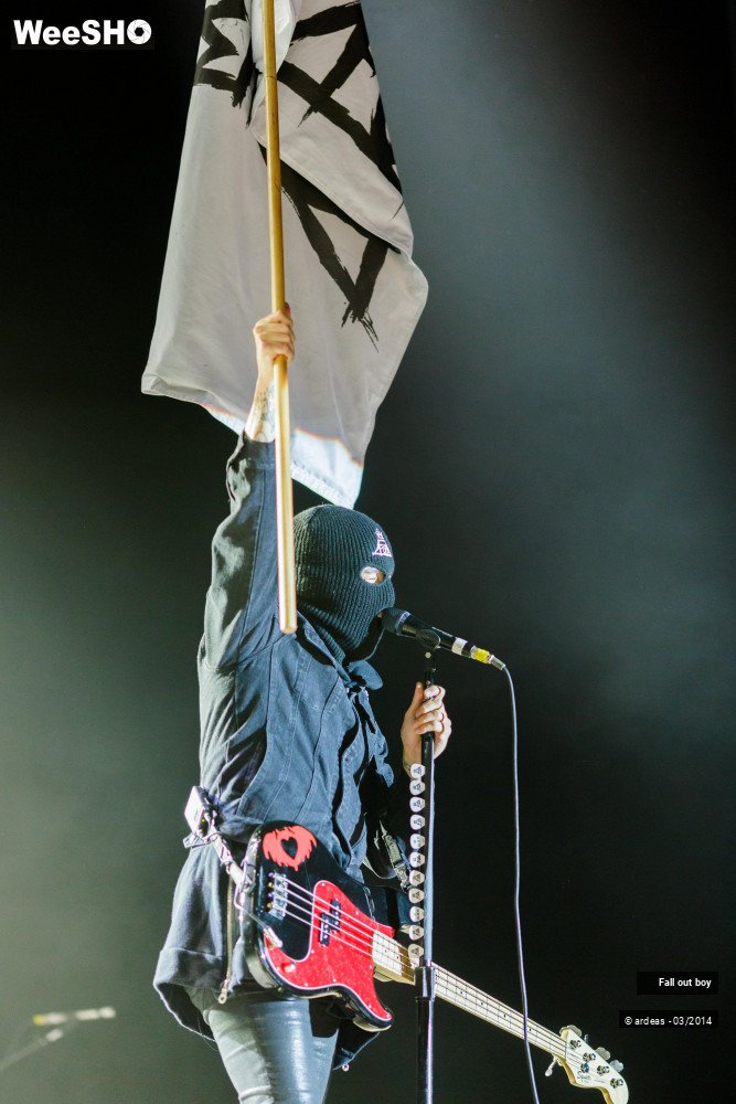 27/41 photos du spectacle Fall out boy