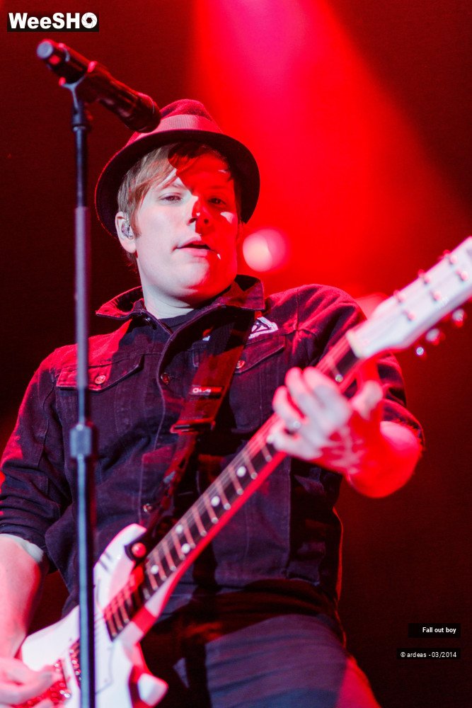 29/41 photos du spectacle Fall out boy