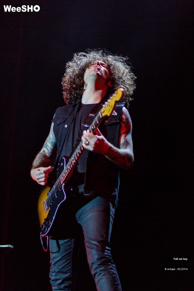 30/41 photos du spectacle Fall out boy