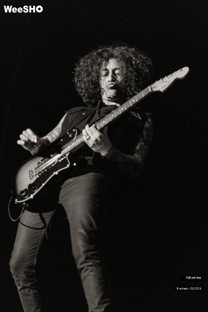31/41 photos du spectacle Fall out boy