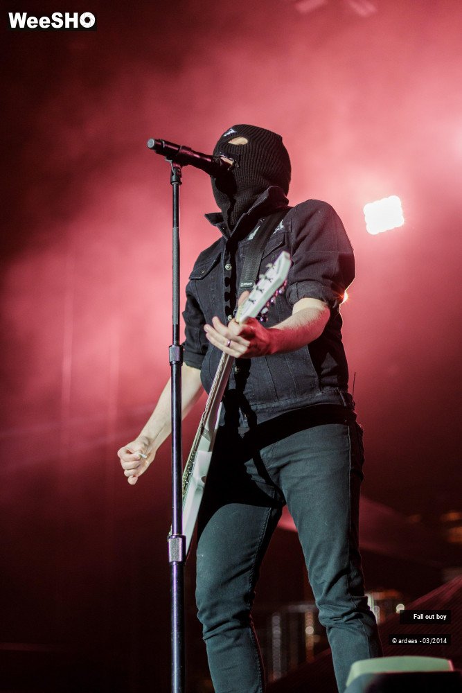 32/41 photos du spectacle Fall out boy