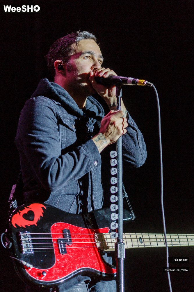 33/41 photos du spectacle Fall out boy