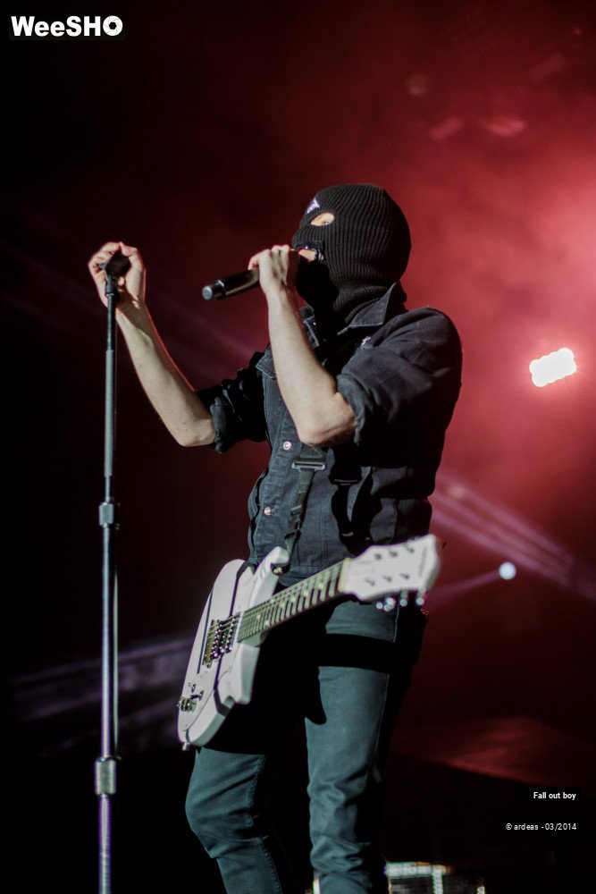 35/41 photos du spectacle Fall out boy