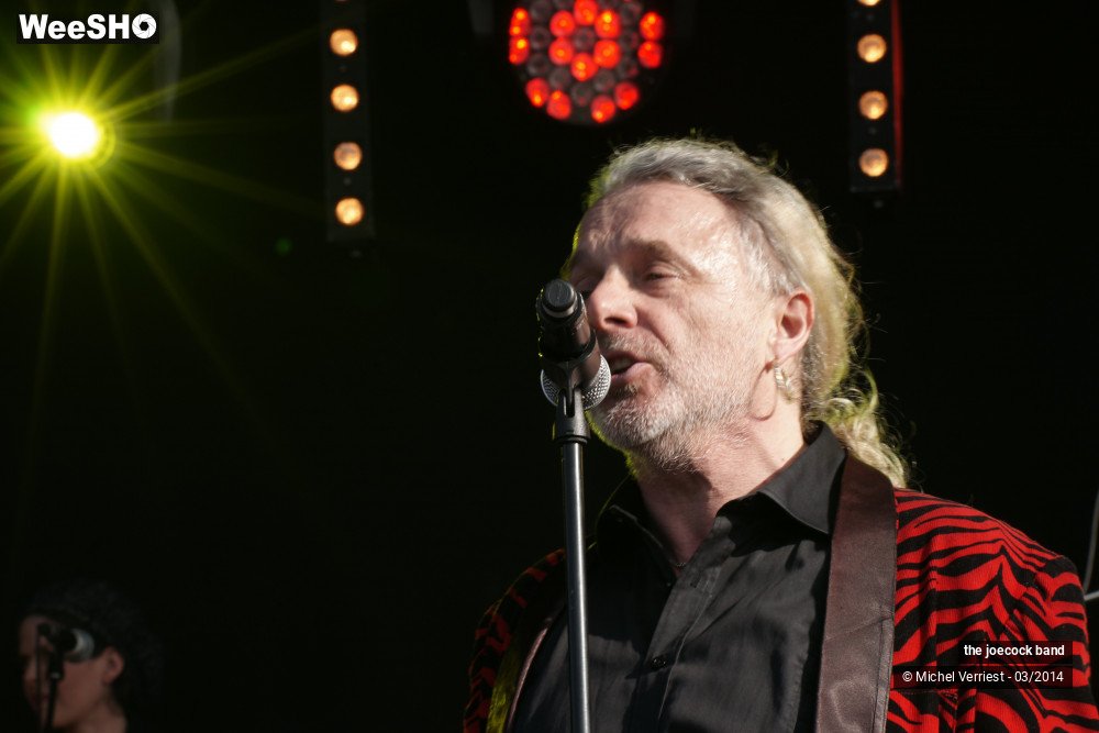 1/46 photos du spectacle the joecock band