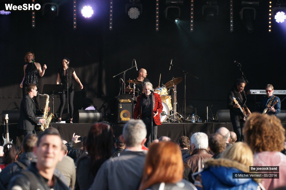 2/46 photos du spectacle the joecock band