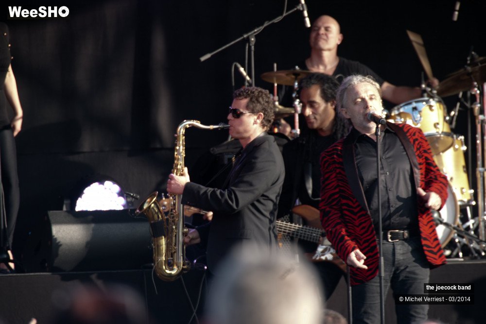 3/46 photos du spectacle the joecock band