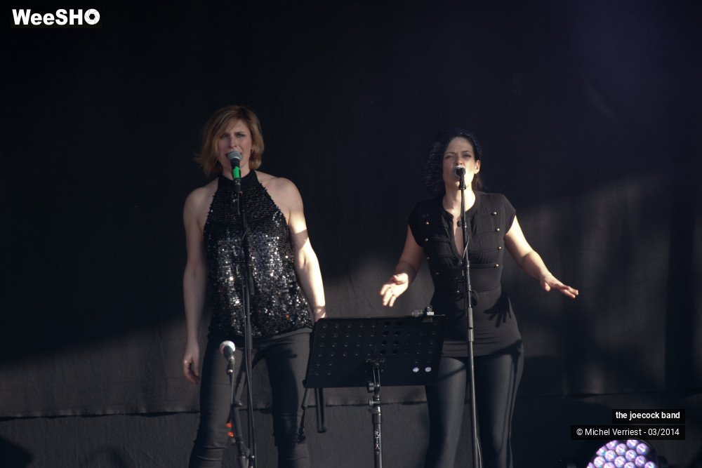 4/46 photos du spectacle the joecock band