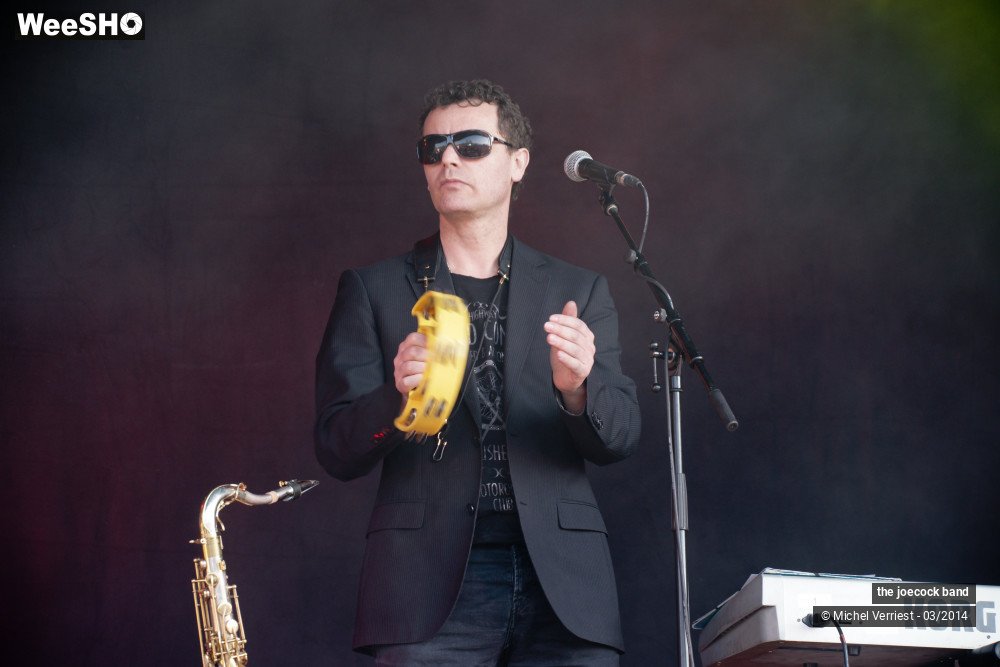 5/46 photos du spectacle the joecock band