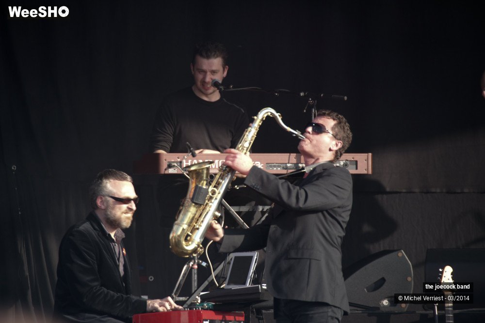 7/46 photos du spectacle the joecock band