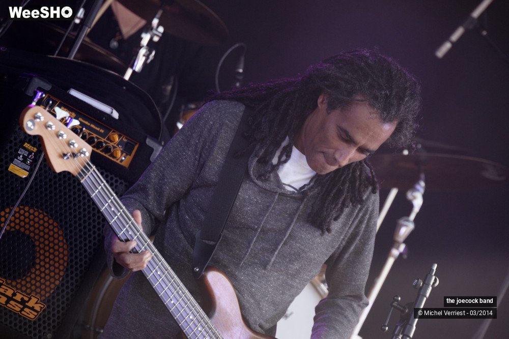 8/46 photos du spectacle the joecock band