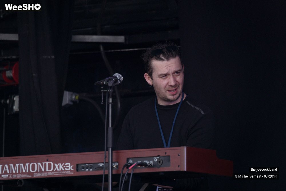10/46 photos du spectacle the joecock band