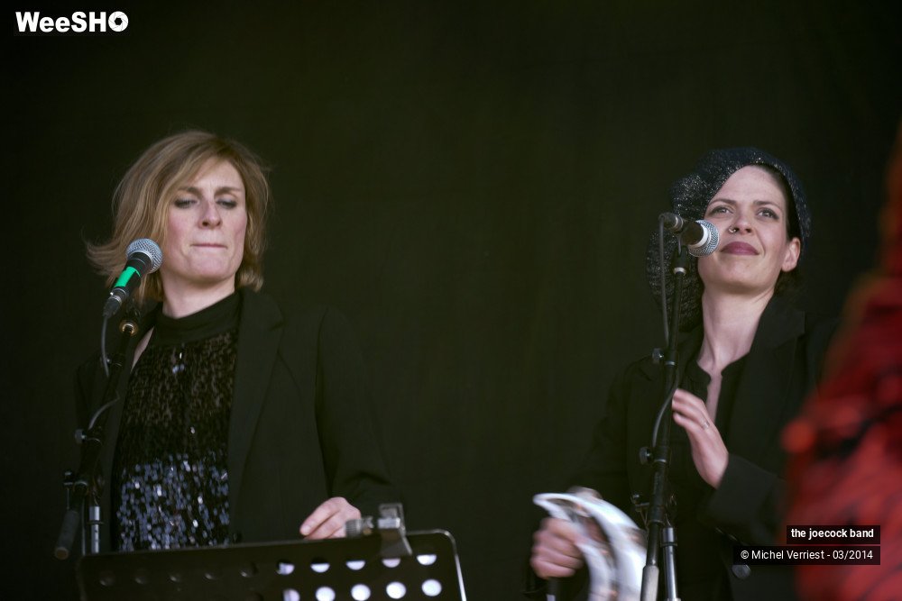 12/46 photos du spectacle the joecock band