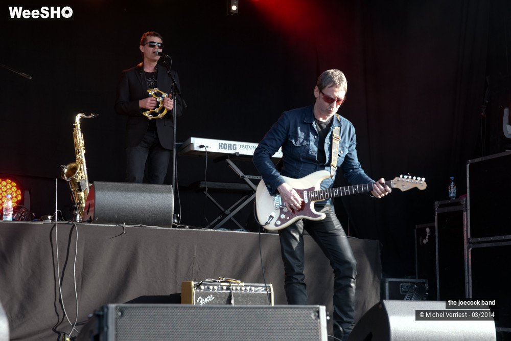 13/46 photos du spectacle the joecock band