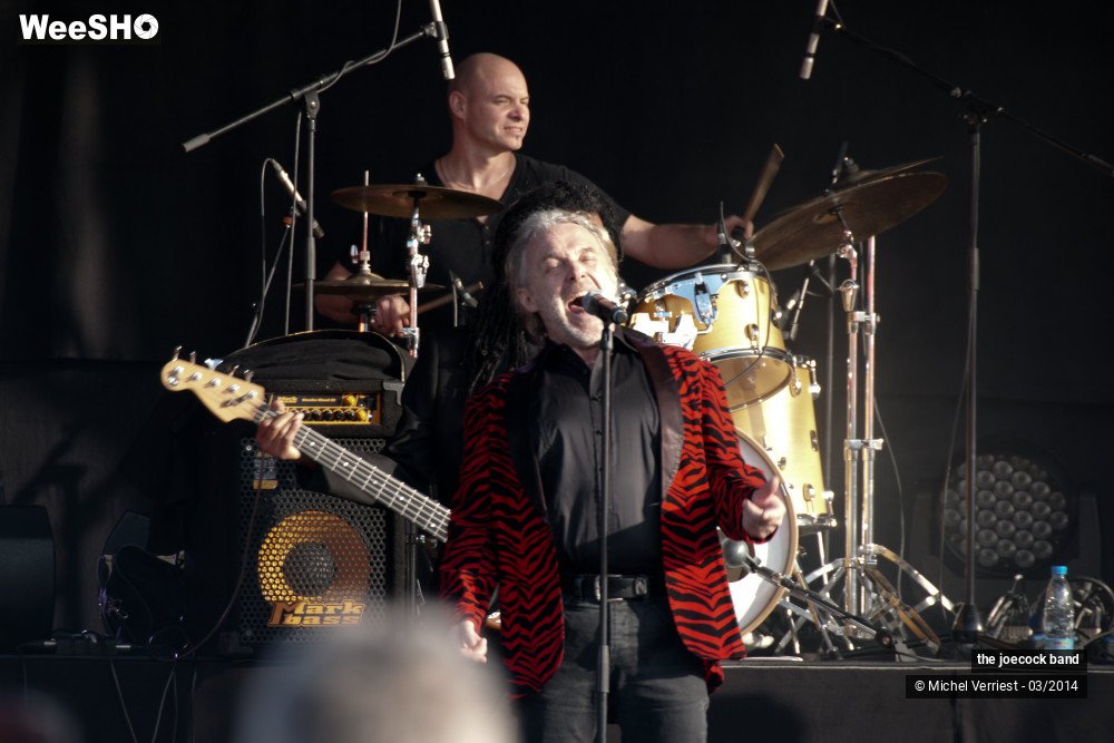 14/46 photos du spectacle the joecock band