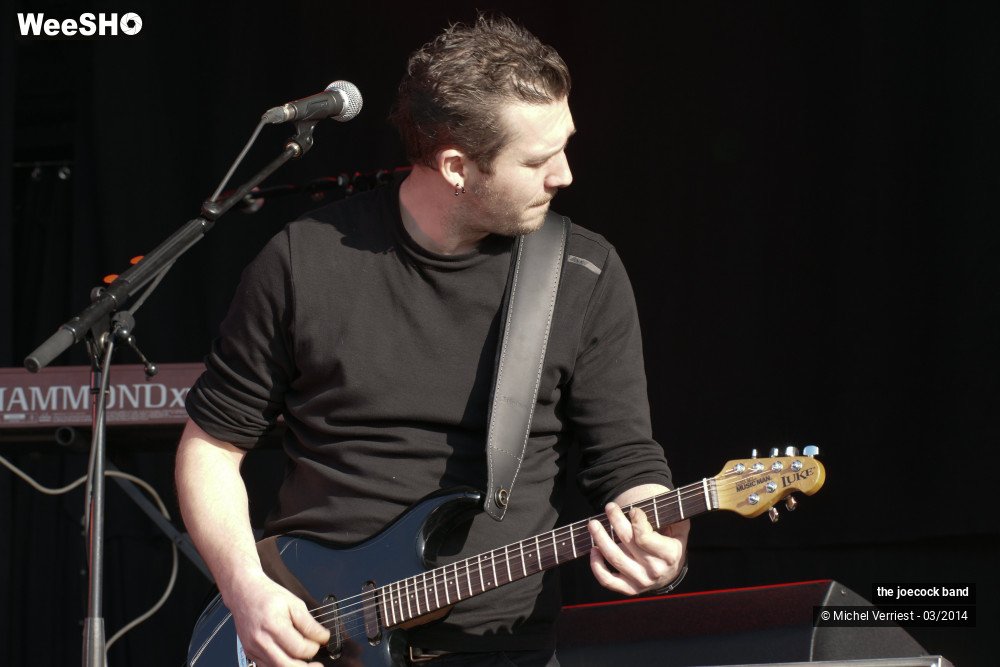 15/46 photos du spectacle the joecock band